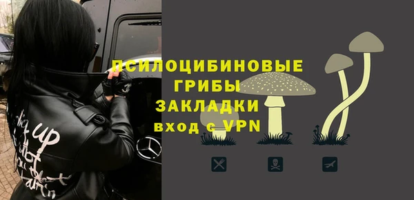 мет Белокуриха