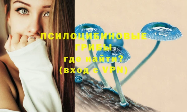 мет Белокуриха