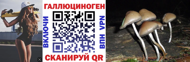 Галлюциногенные грибы GOLDEN TEACHER Кузнецк