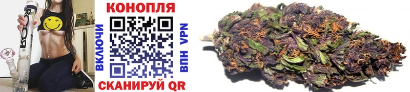 Бошки Шишки THC 21%  omg ссылка  shop состав  Кузнецк 